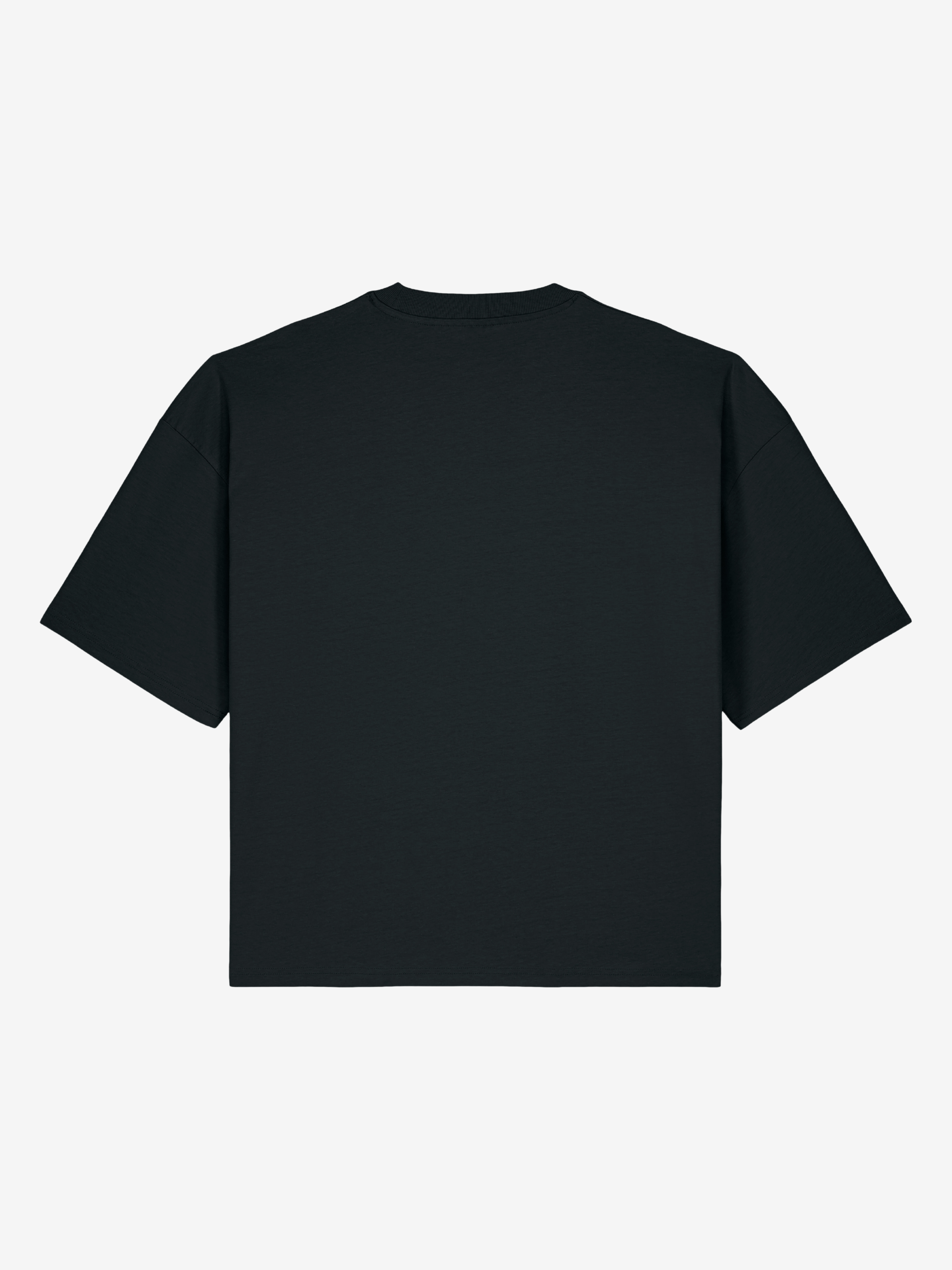 analog - cropped Boxy T-Shirt