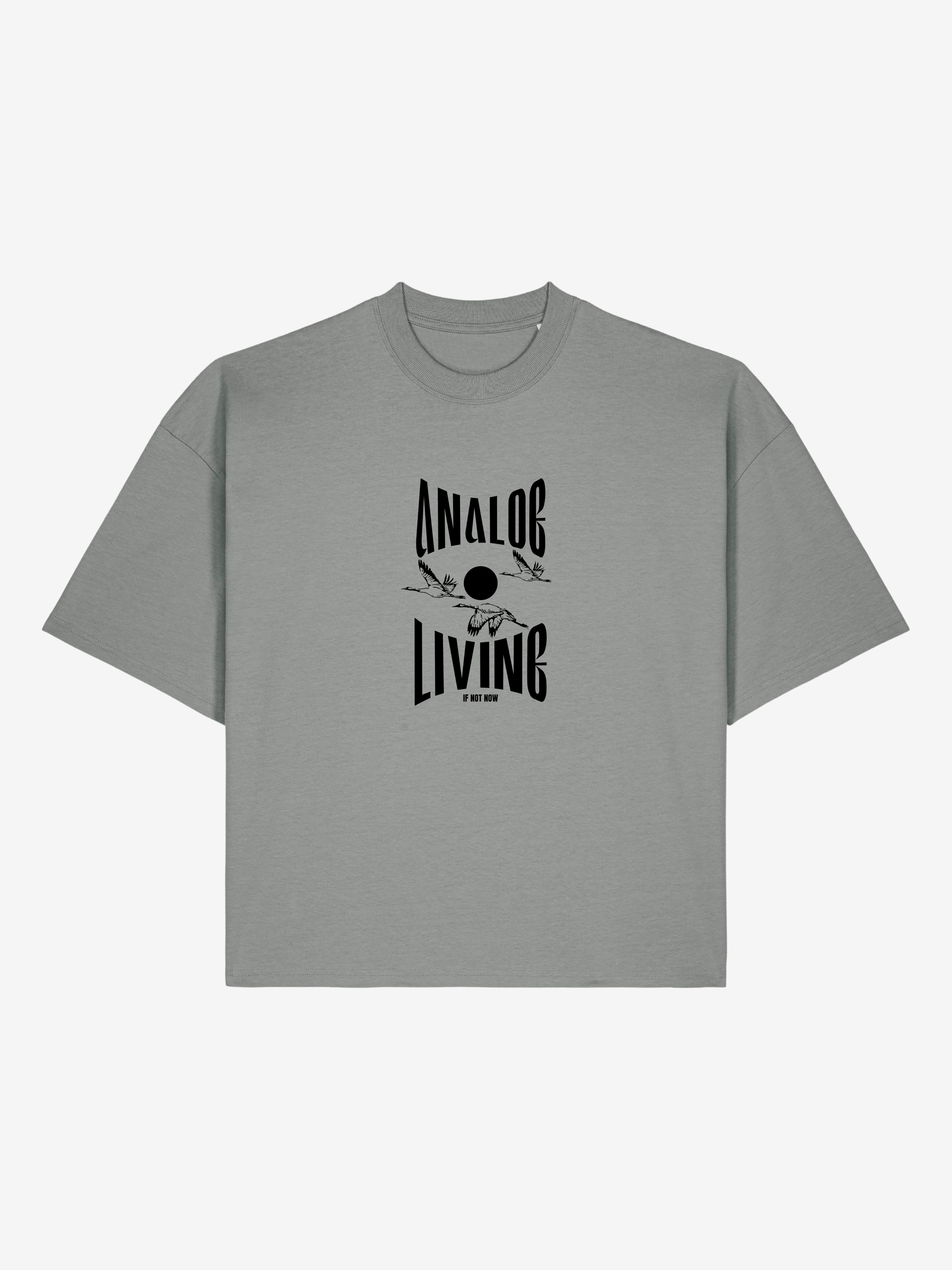 Analog Living - cropped Boxy T-Shirt