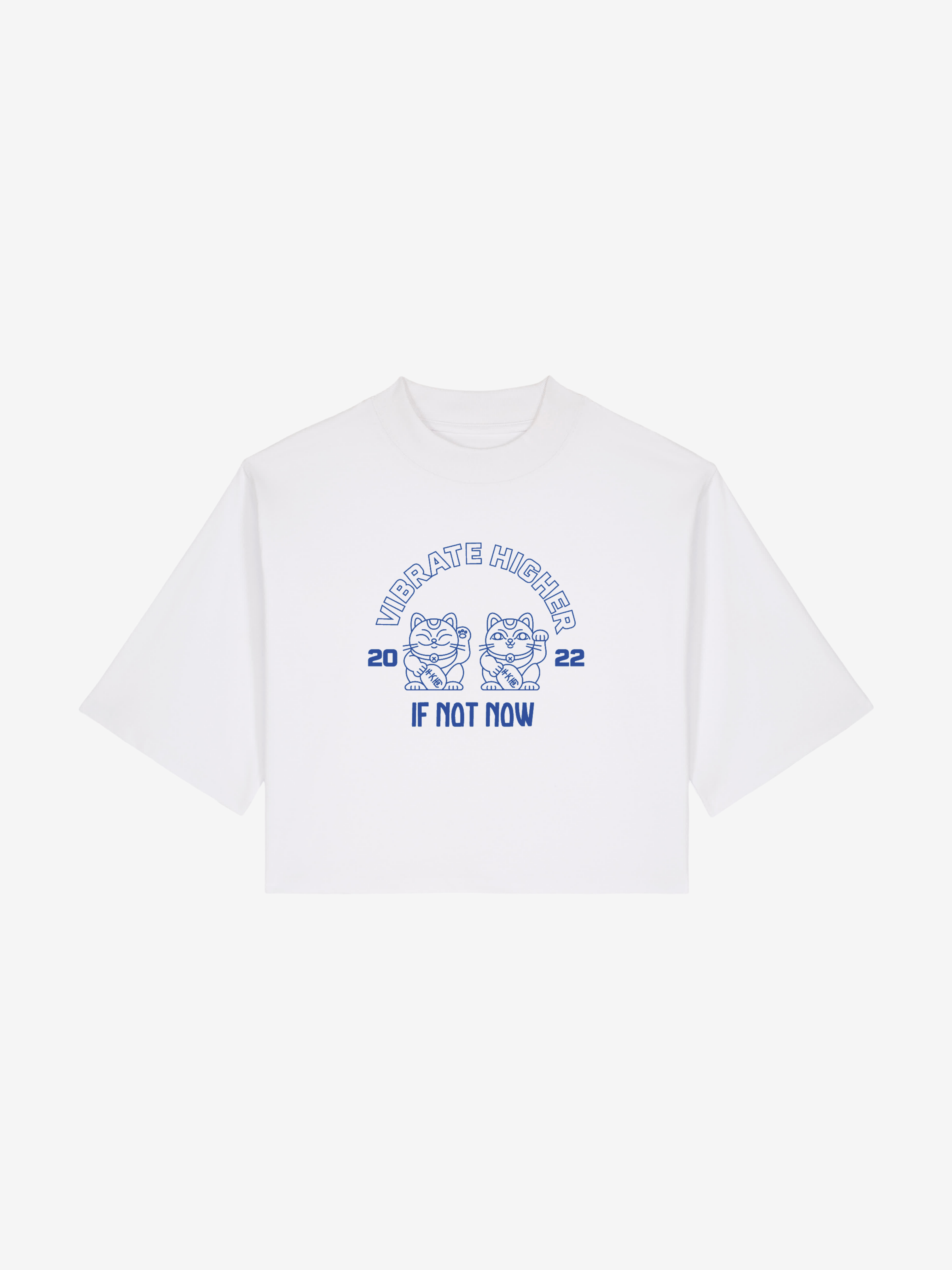 Vibrate Higher - cropped Boxy T-Shirt