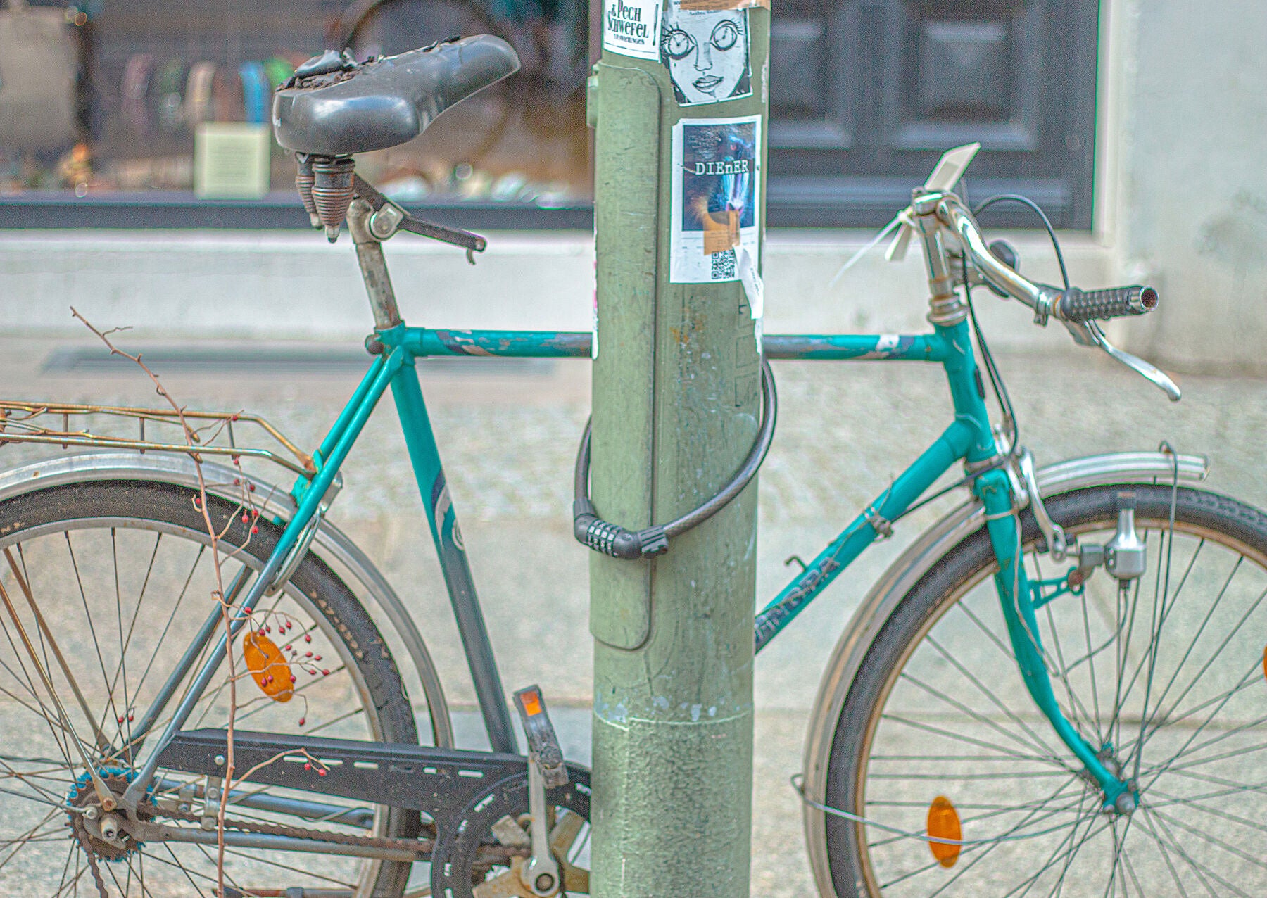 Berlin Cycle